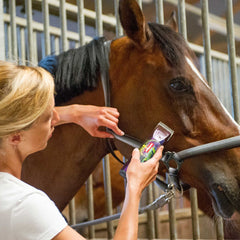 Tondeuse sans fil pour chevaux