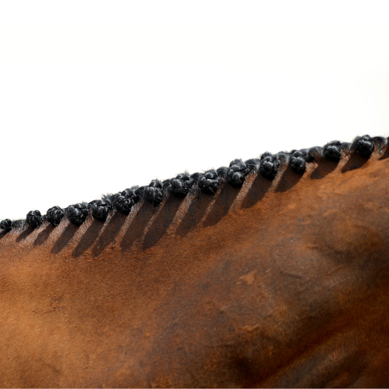 NAF - Spray nattage Easy Pions