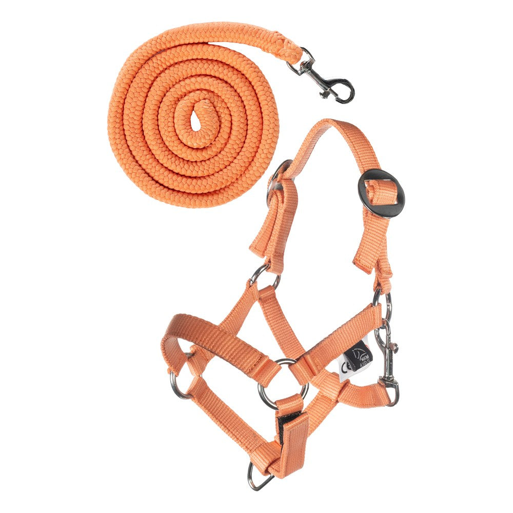 Licol et longe Hobby Horsing Basic HKM Orange