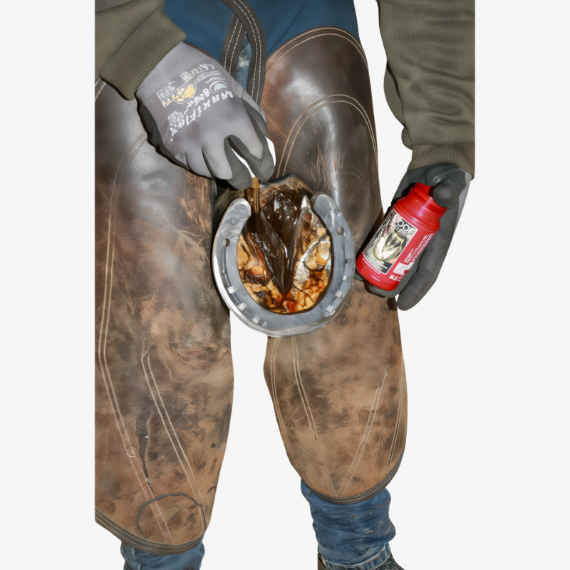 Huile pour fourchette KEVIN BACON'S - Hoof Solution