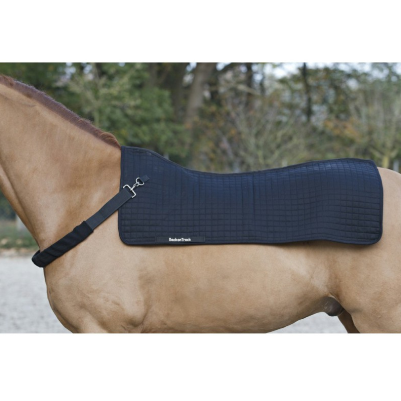 Chauffe dos chevaux Back On Track Royal