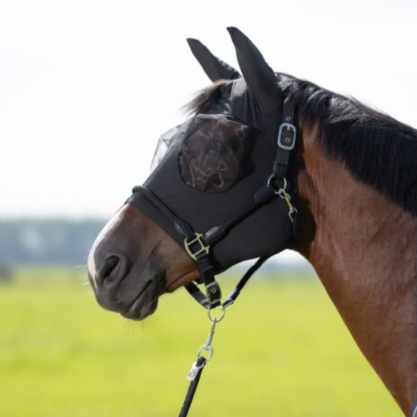 Masque anti-mouches élastique