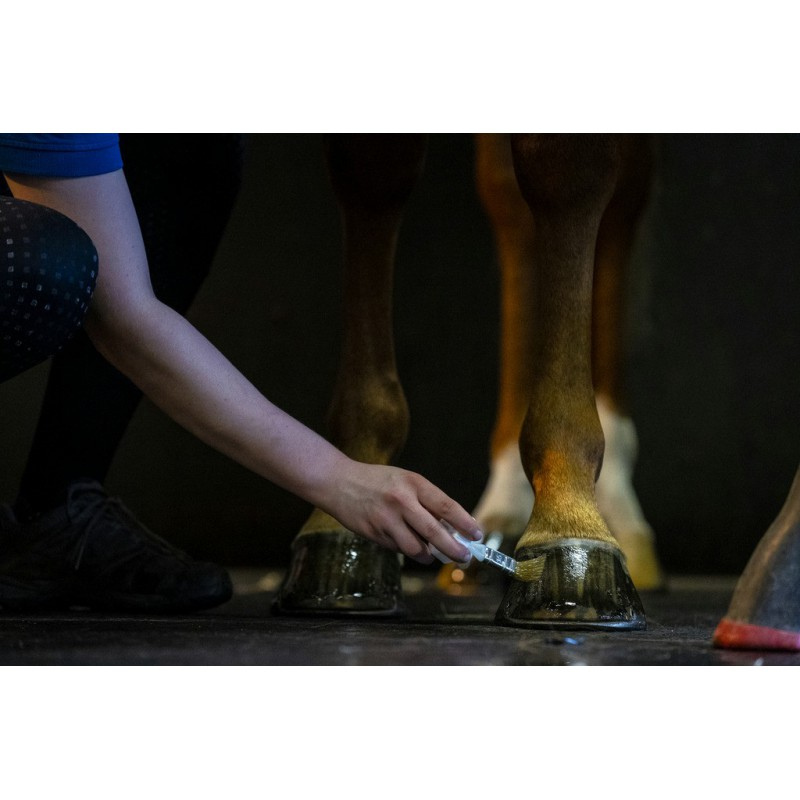 Huile pour sabots KEVIN BACON'S Hoof Dressing - Liquide