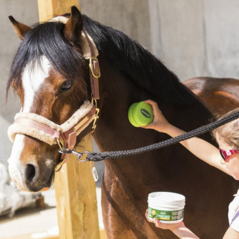 Emouchine Gel RAVENE