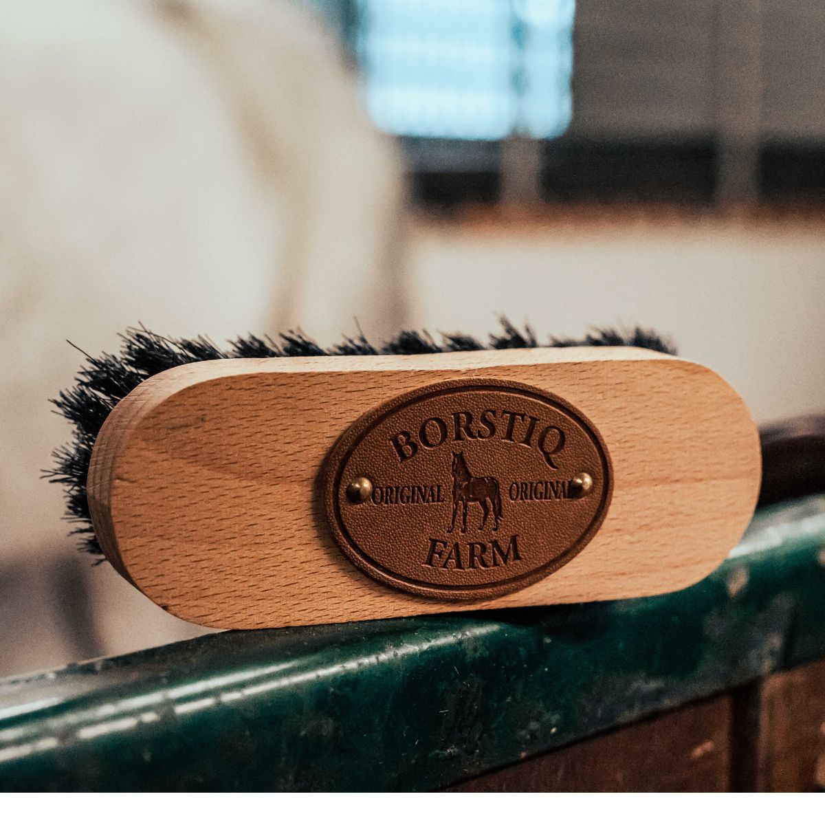 Brosse de tête BORSTIQ