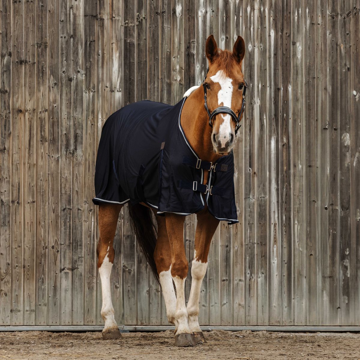 Chemise EQUITHÈME - Micro mesh