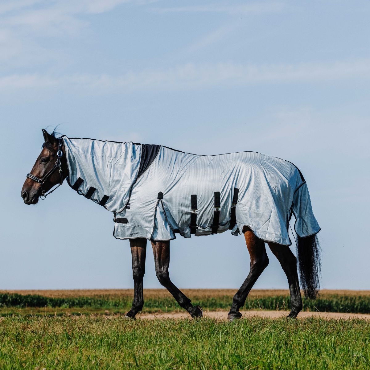 Chemise RIDING WORLD - Belly Mesh - Combo