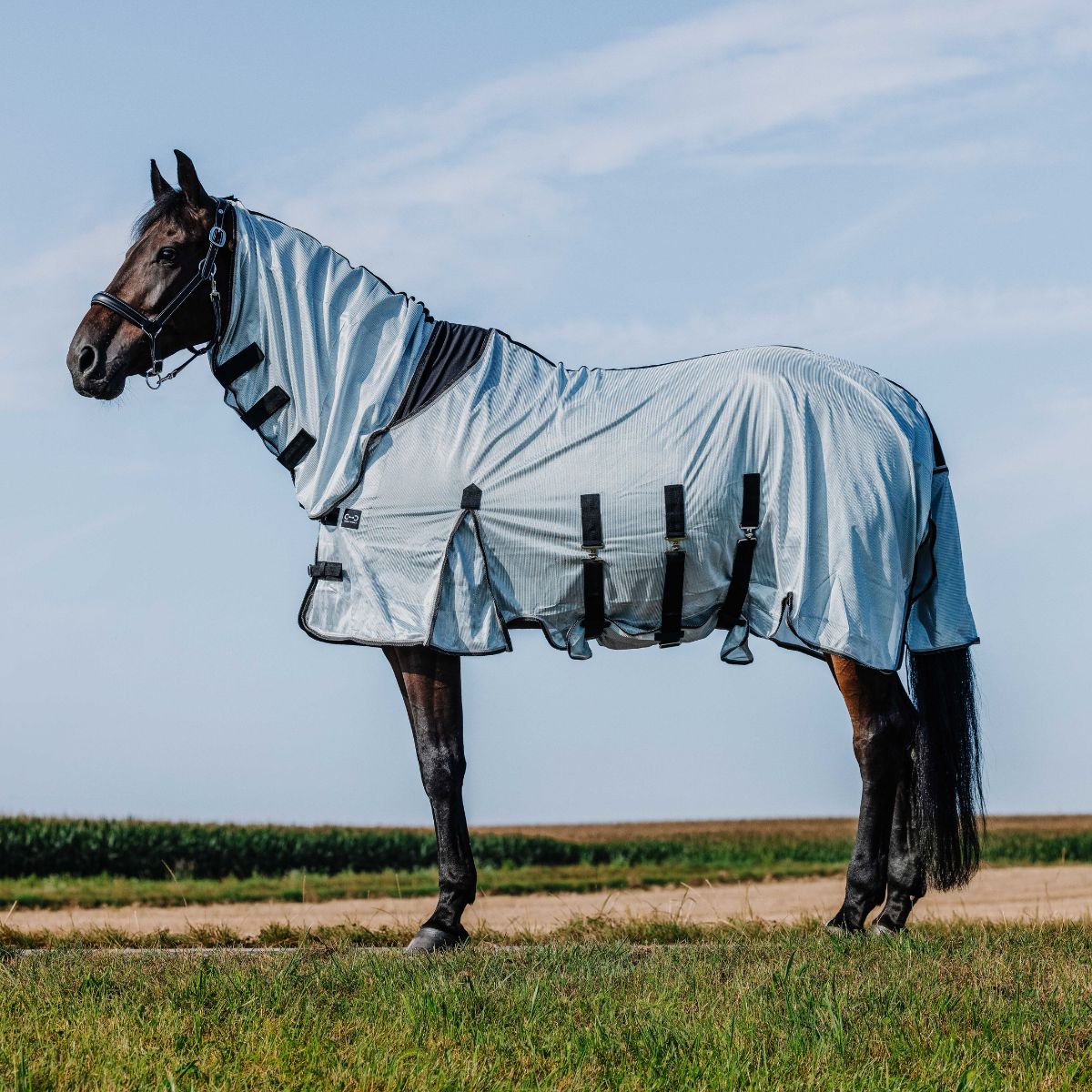 Chemise RIDING WORLD - Belly Mesh - Combo