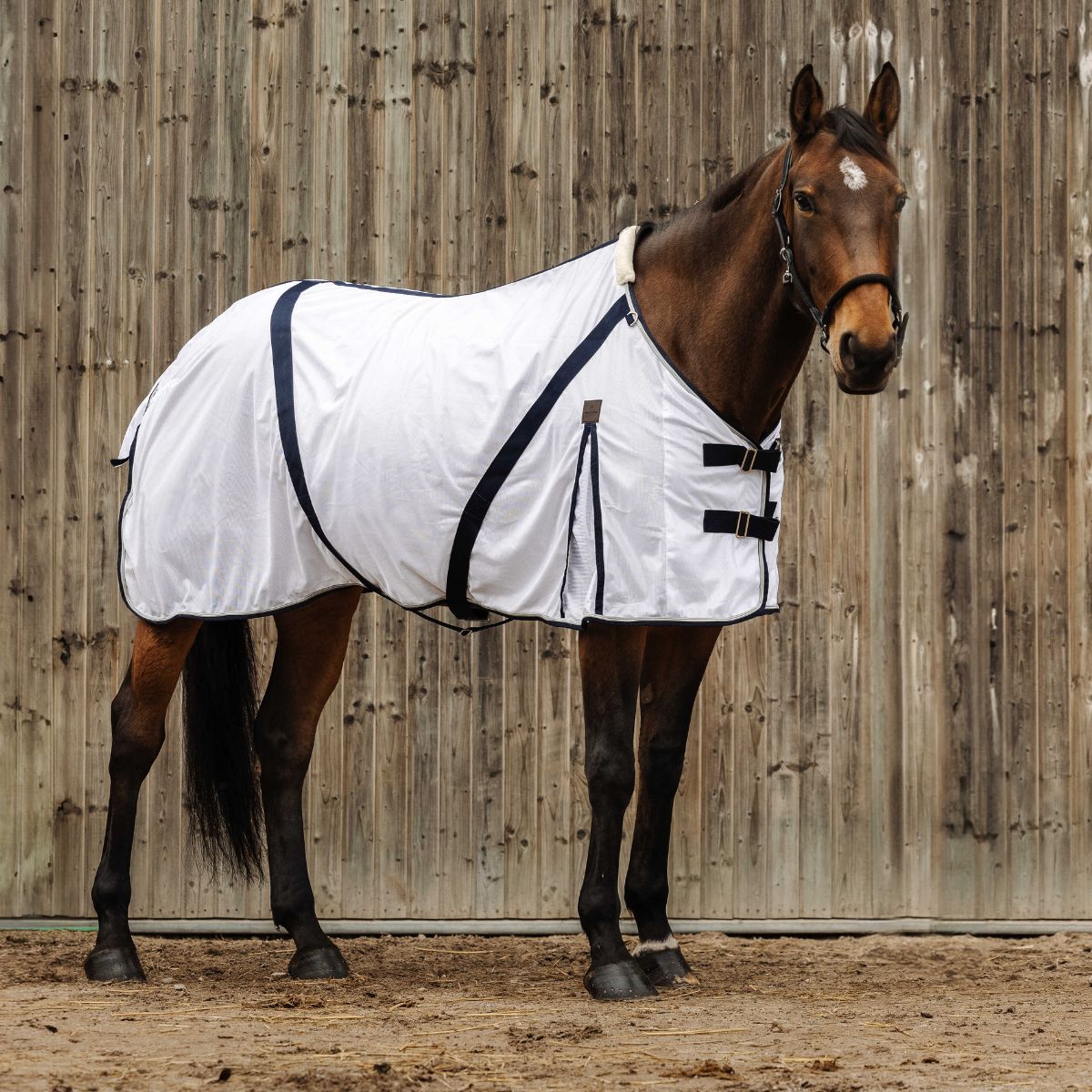 Chemise anti-insectes EQUITHÈME - Mesh