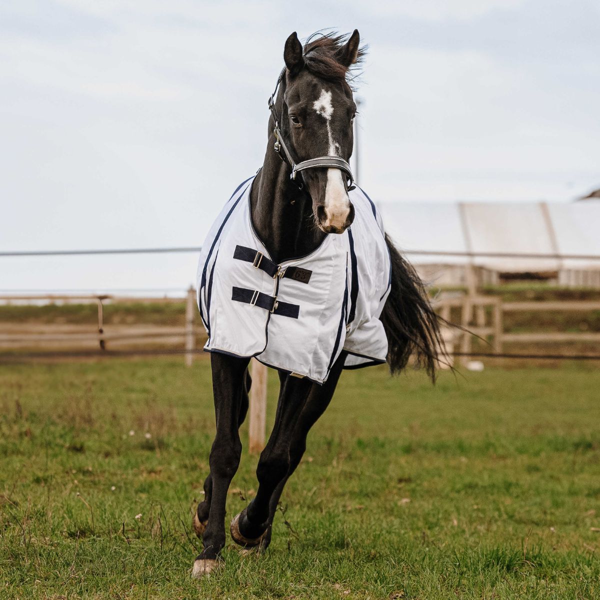 Chemise anti-insectes EQUITHÈME - Mesh