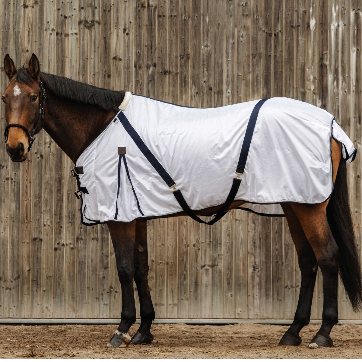 Chemise anti-insectes EQUITHÈME - Mesh