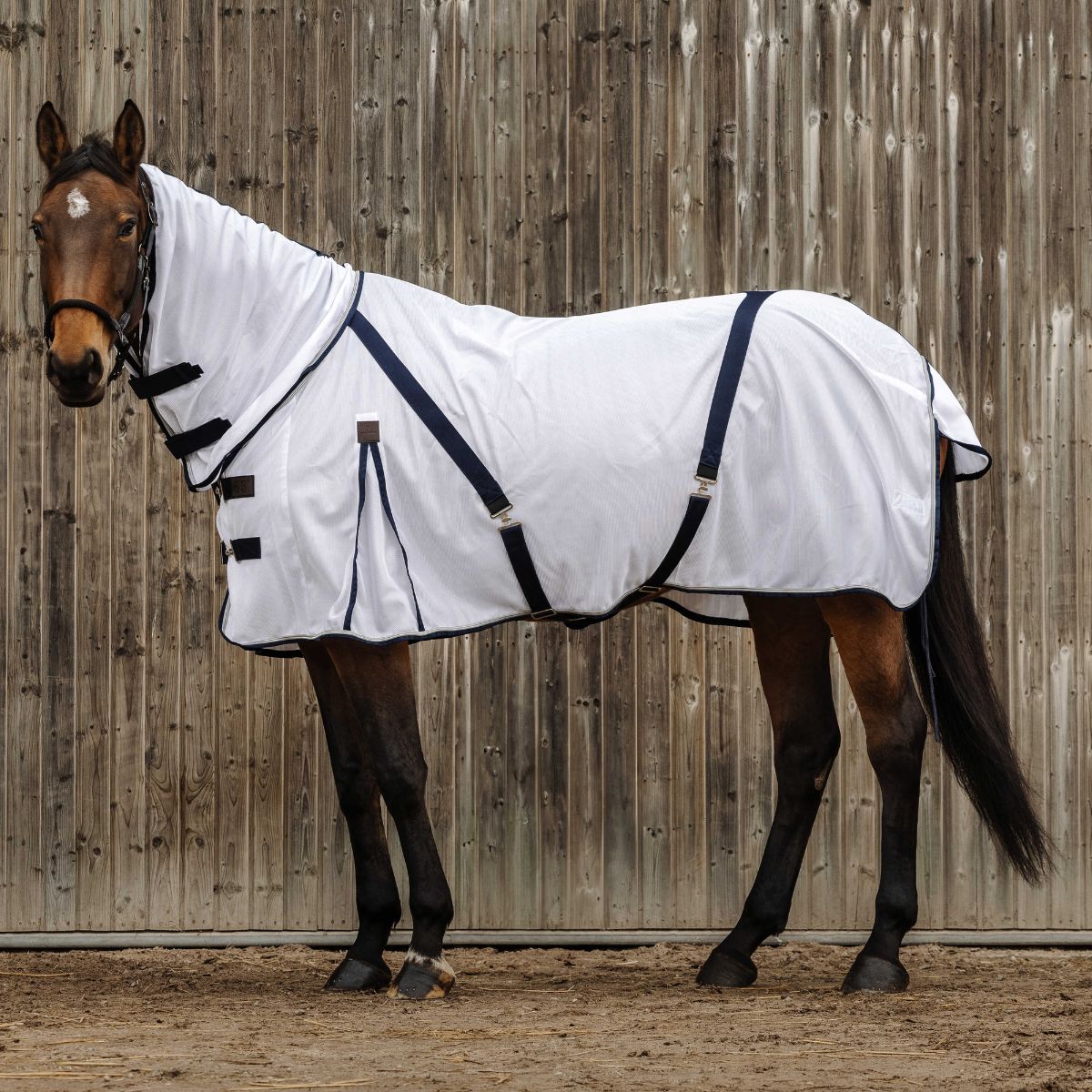 Chemise anti-mouche EQUITHÈME - Mesh combo