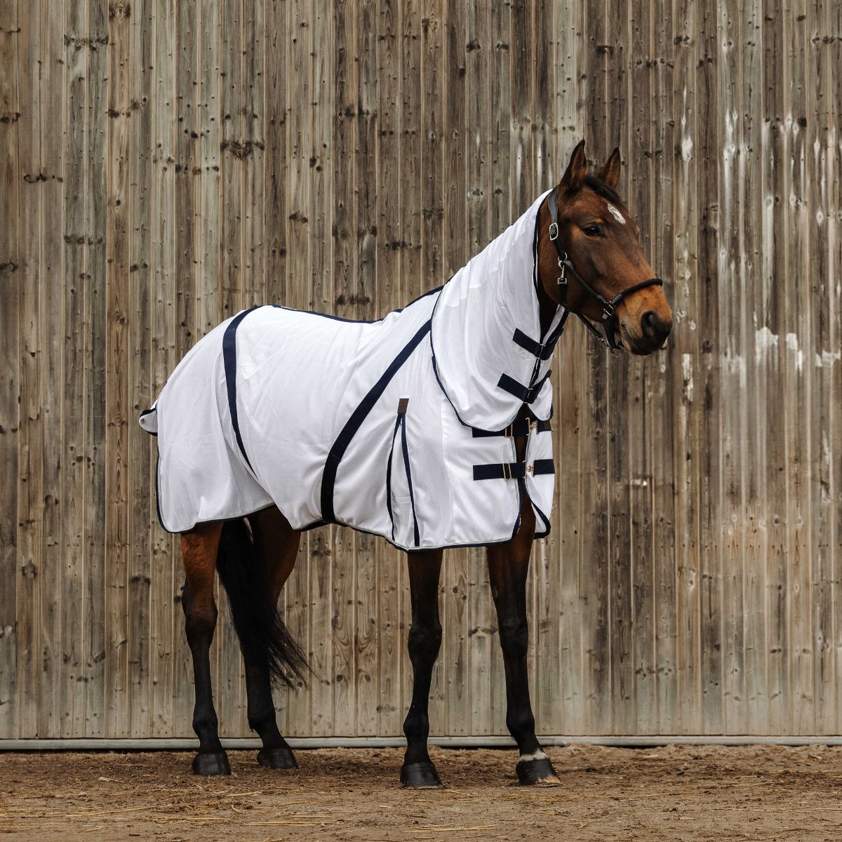 Chemise anti-mouche EQUITHÈME - Mesh combo