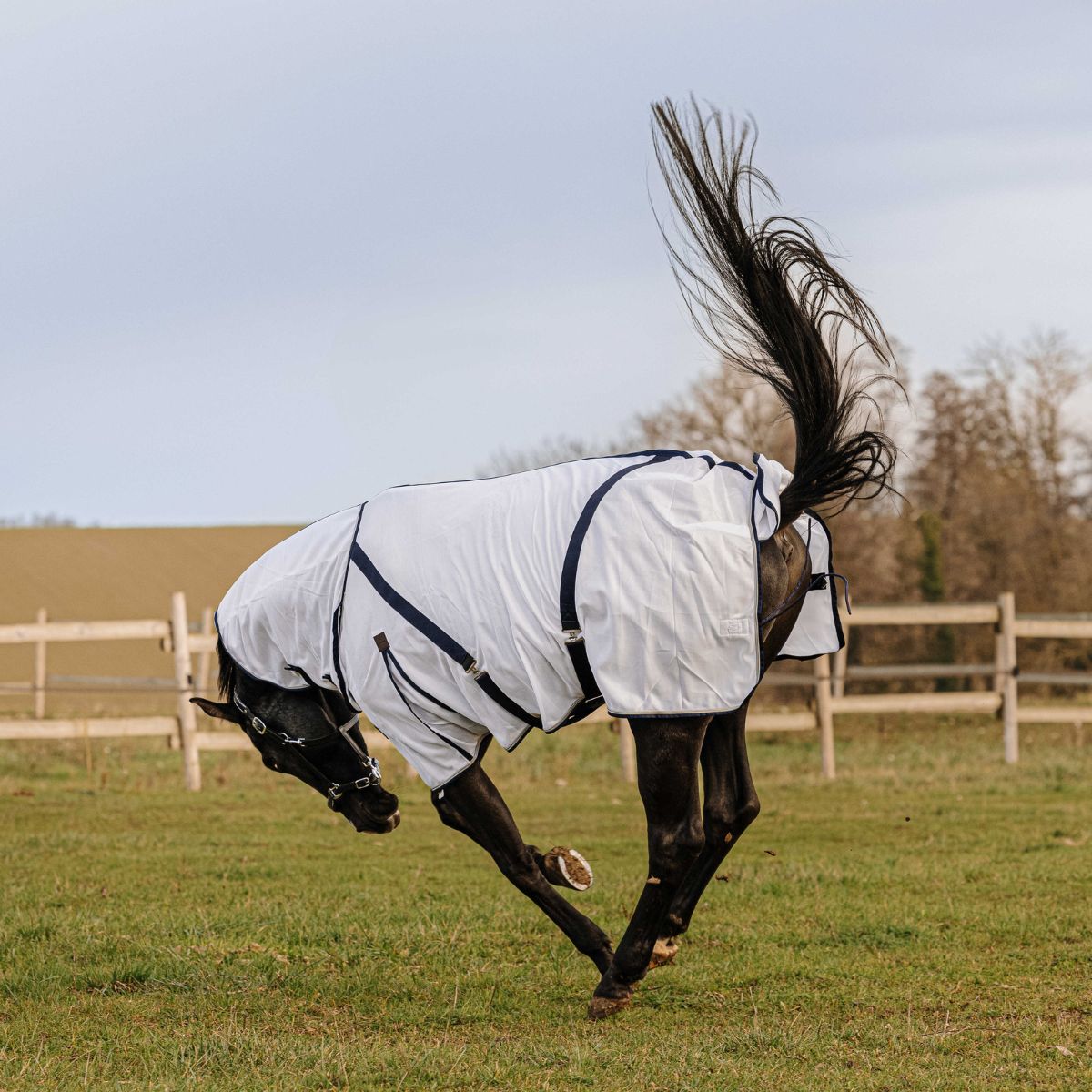 Chemise anti-mouche EQUITHÈME - Mesh combo