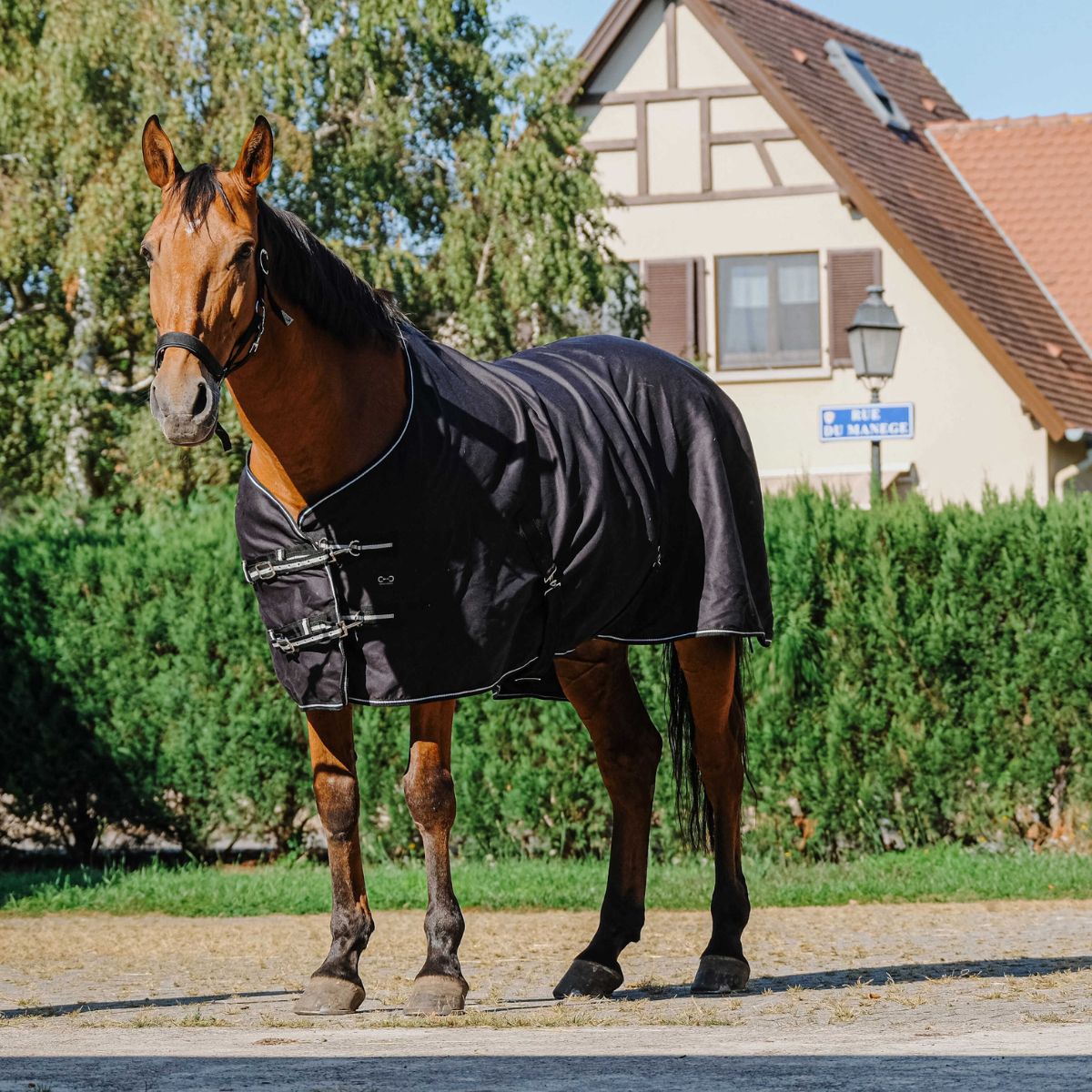 Chemise brillante RIDING WORLD