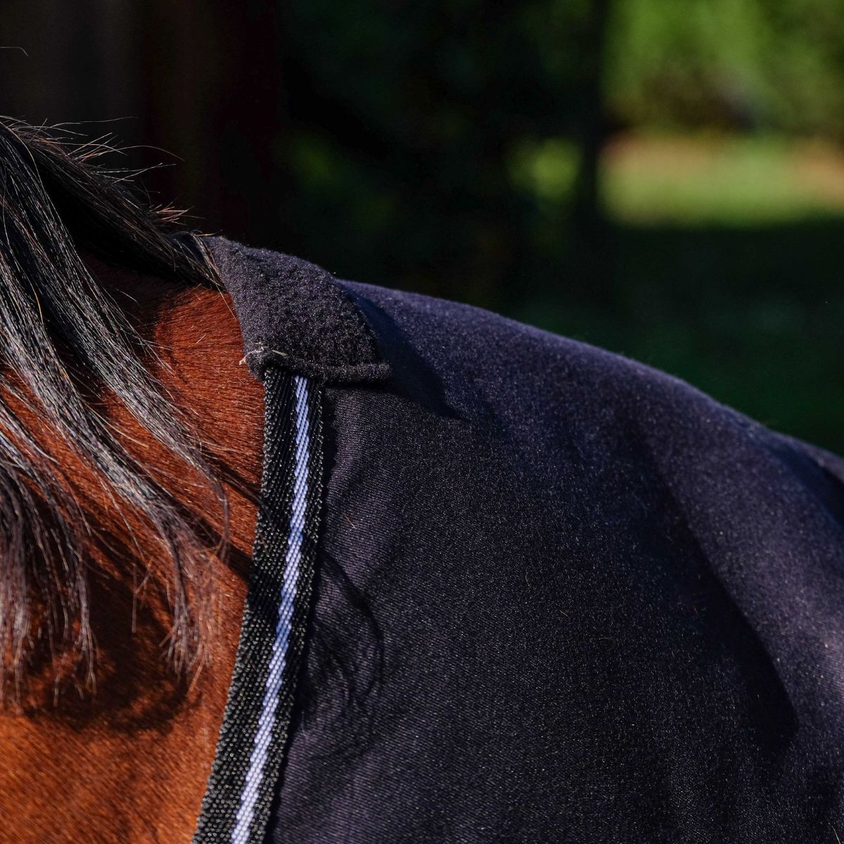 Chemise brillante RIDING WORLD