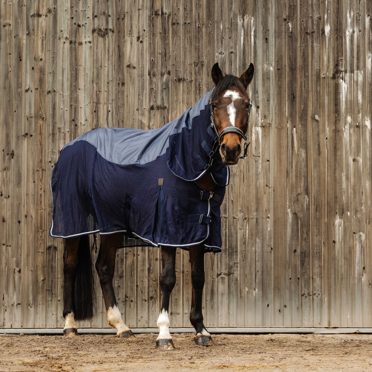 Chemise combo EQUITHÈME - Mixte