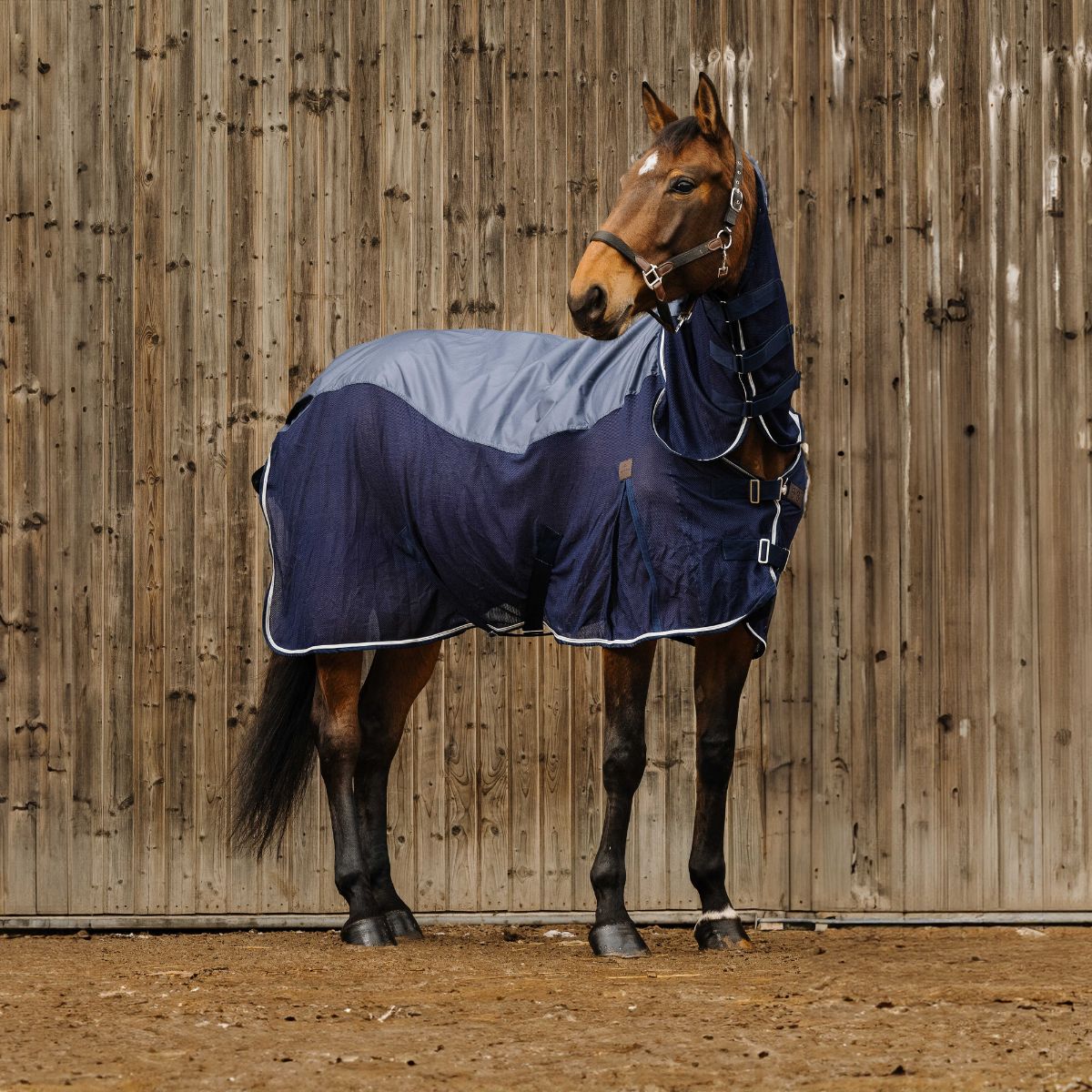 Chemise combo EQUITHÈME - Mixte