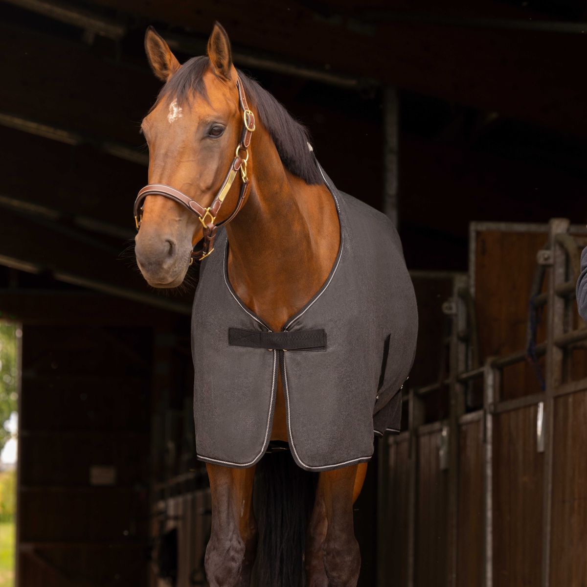 Chemise polaire EQUITHÈME - Chiné