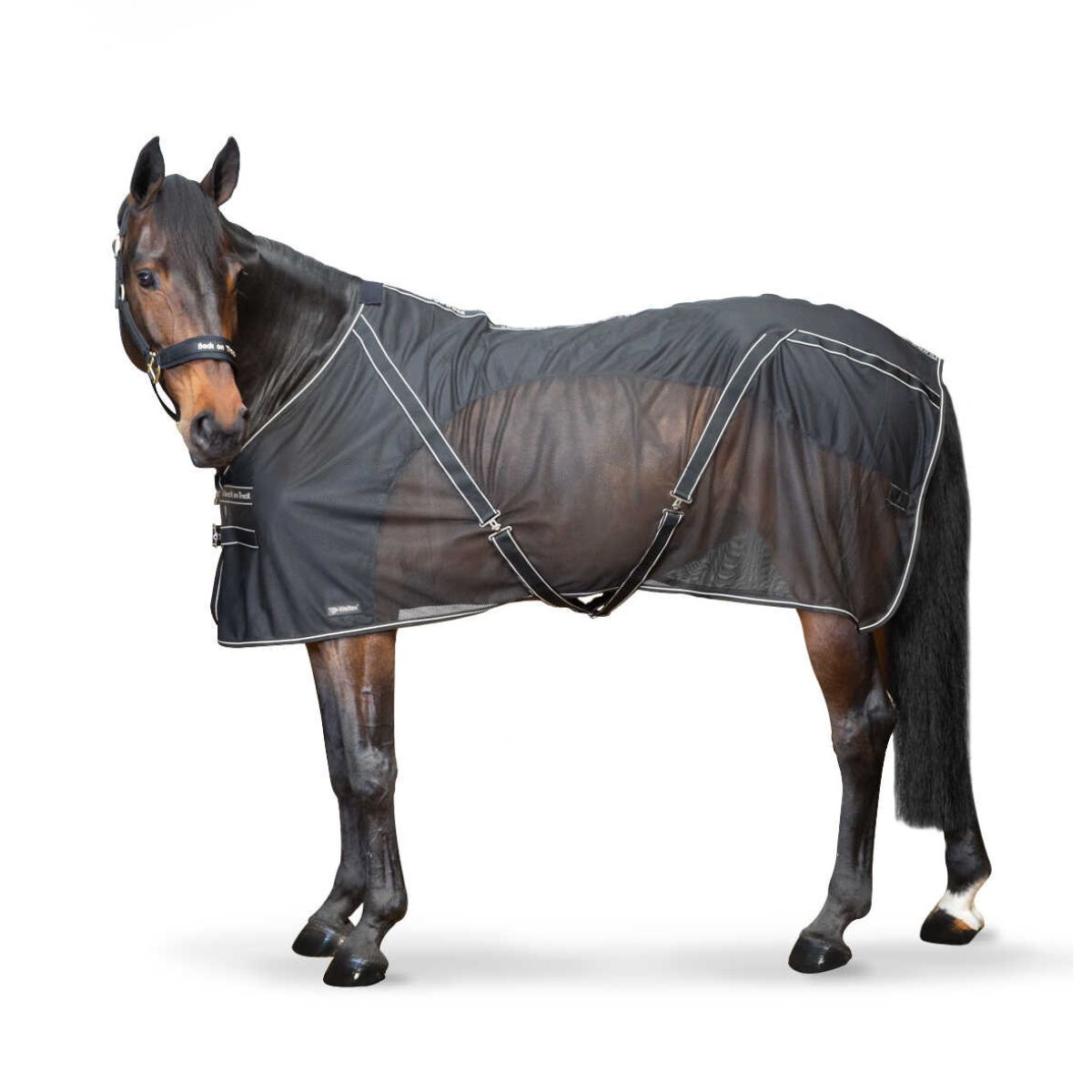 Chemise séchante BACK ON TRACK - Sienna