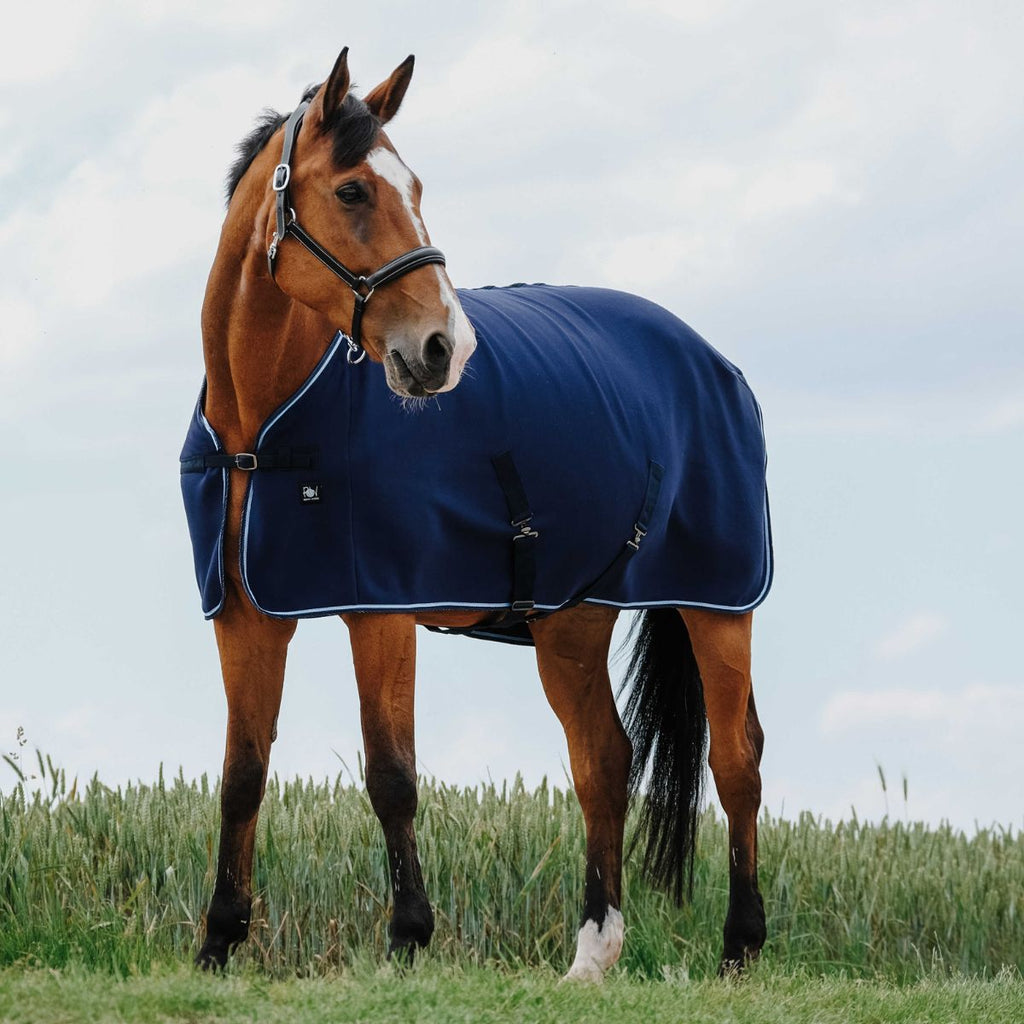 Chemise équestre Manches Courtes Dover – Bleu Ciel – Occasion