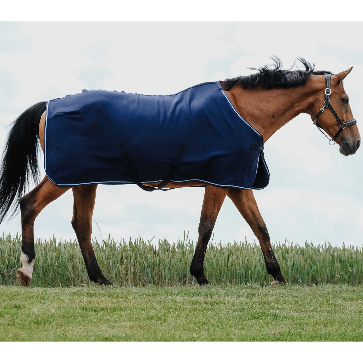Chemise séchante RIDING WORLD