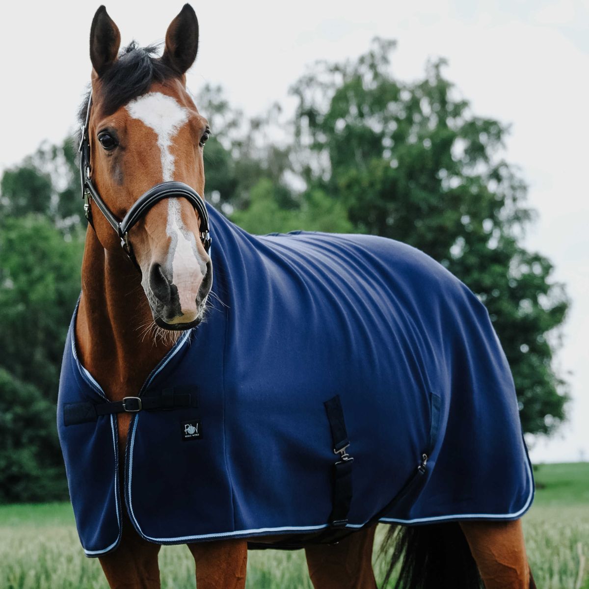 Chemise séchante RIDING WORLD