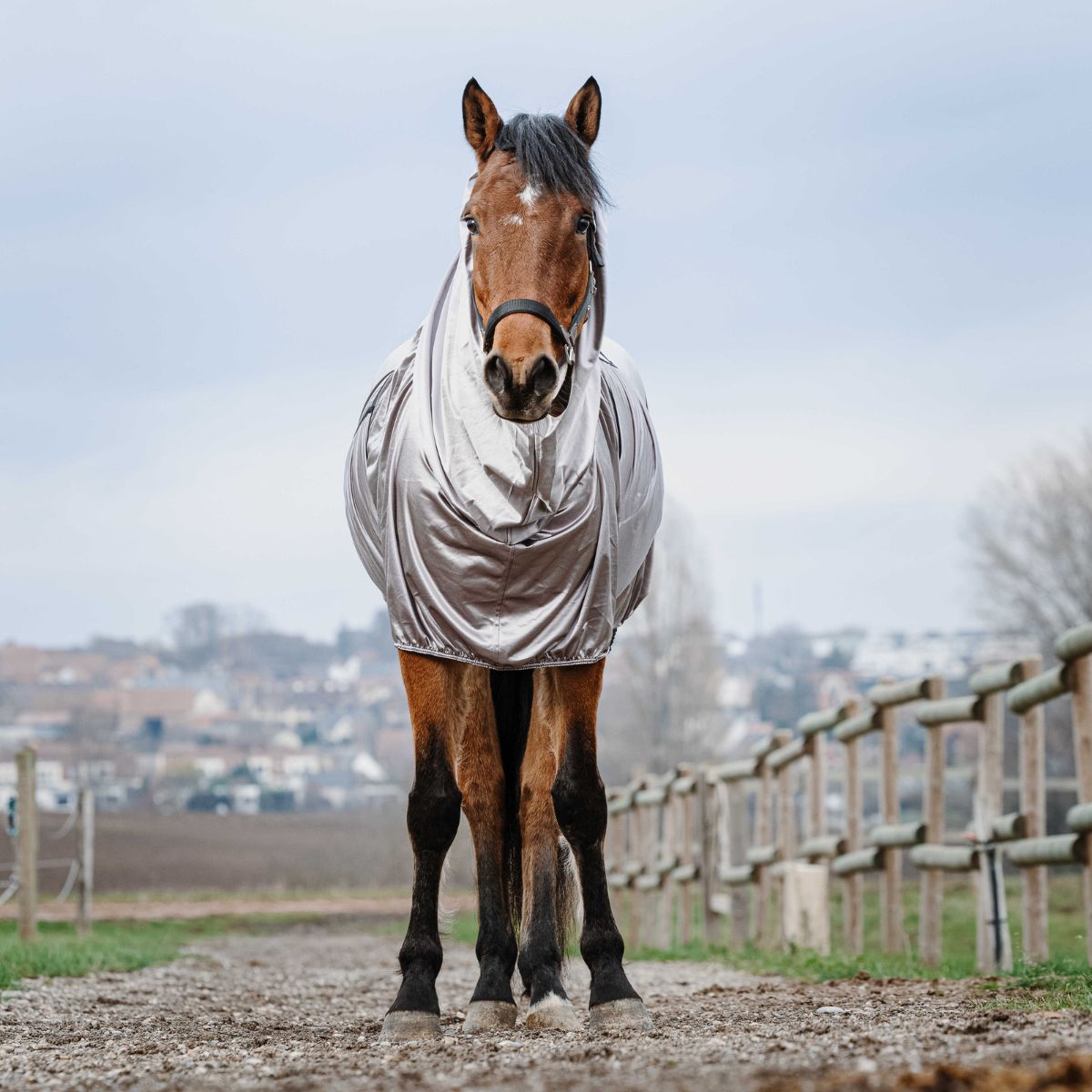 Chemise anti-eczéma RIDING WORLD - Gris