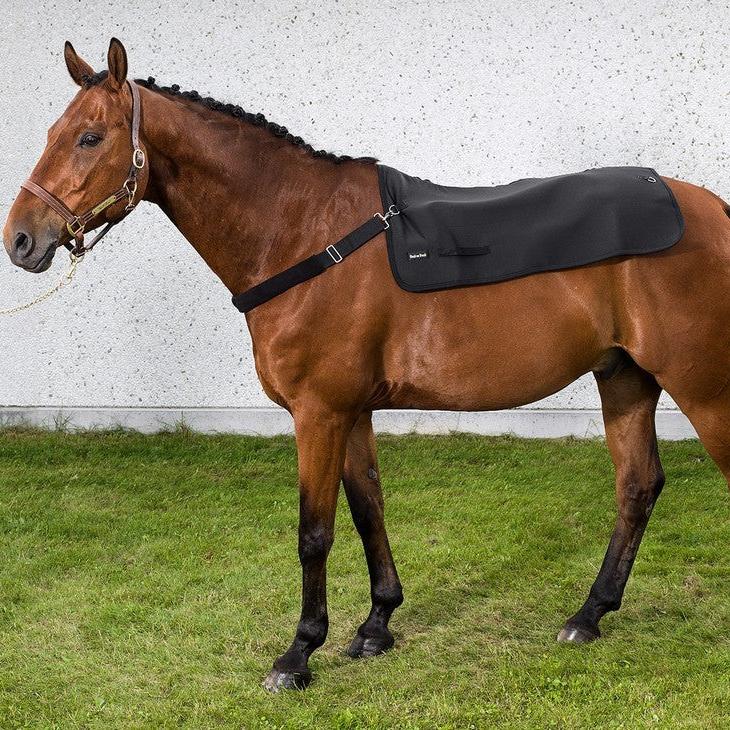 Chauffe dos chevaux Back On Track