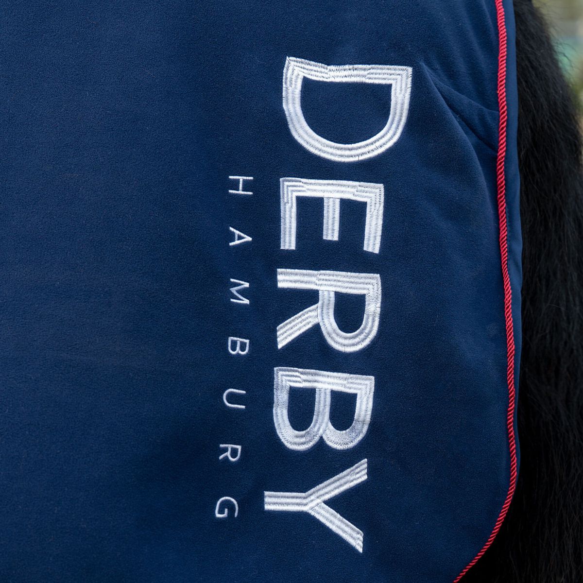 Couverture-Derby-3