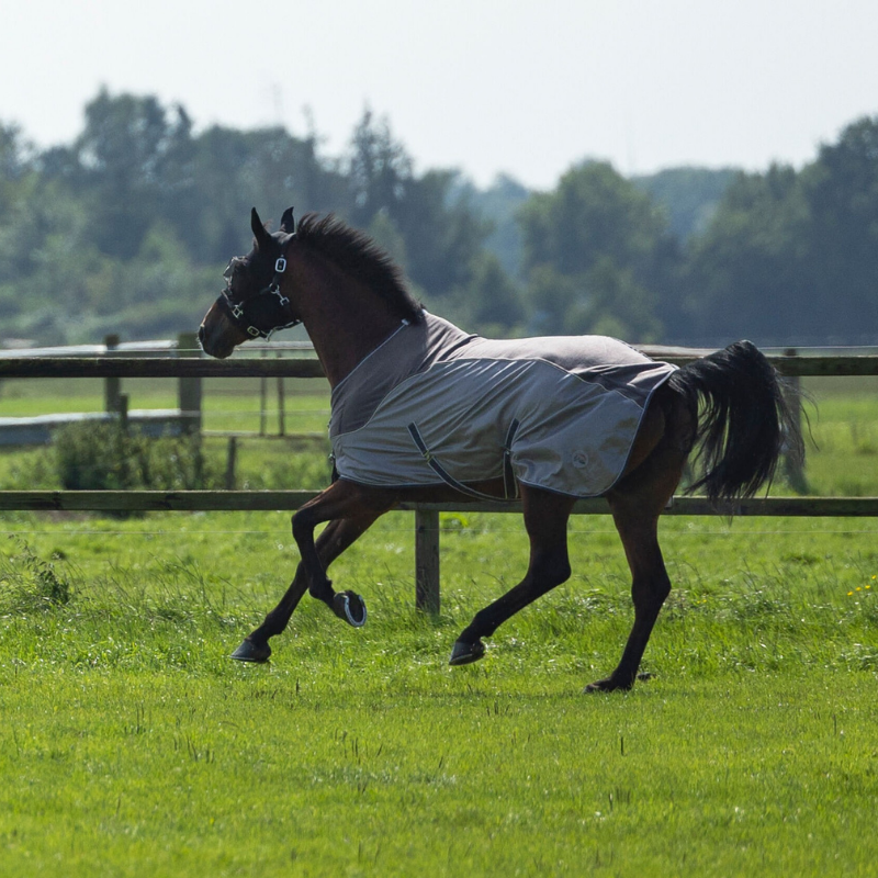 Couverture anti-mouches avec polaire HKM