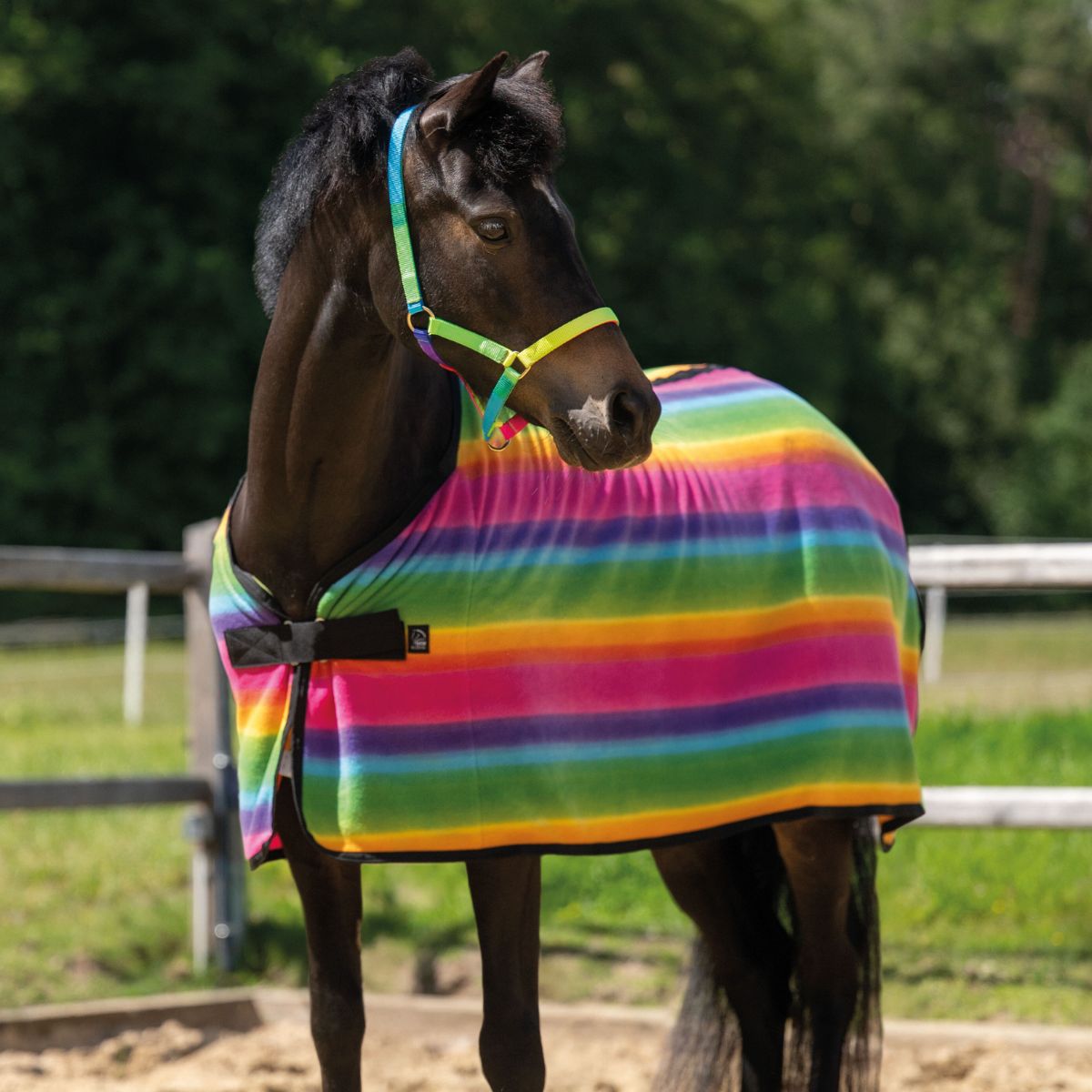 Couverture-sechante-poney-Rainbow-1