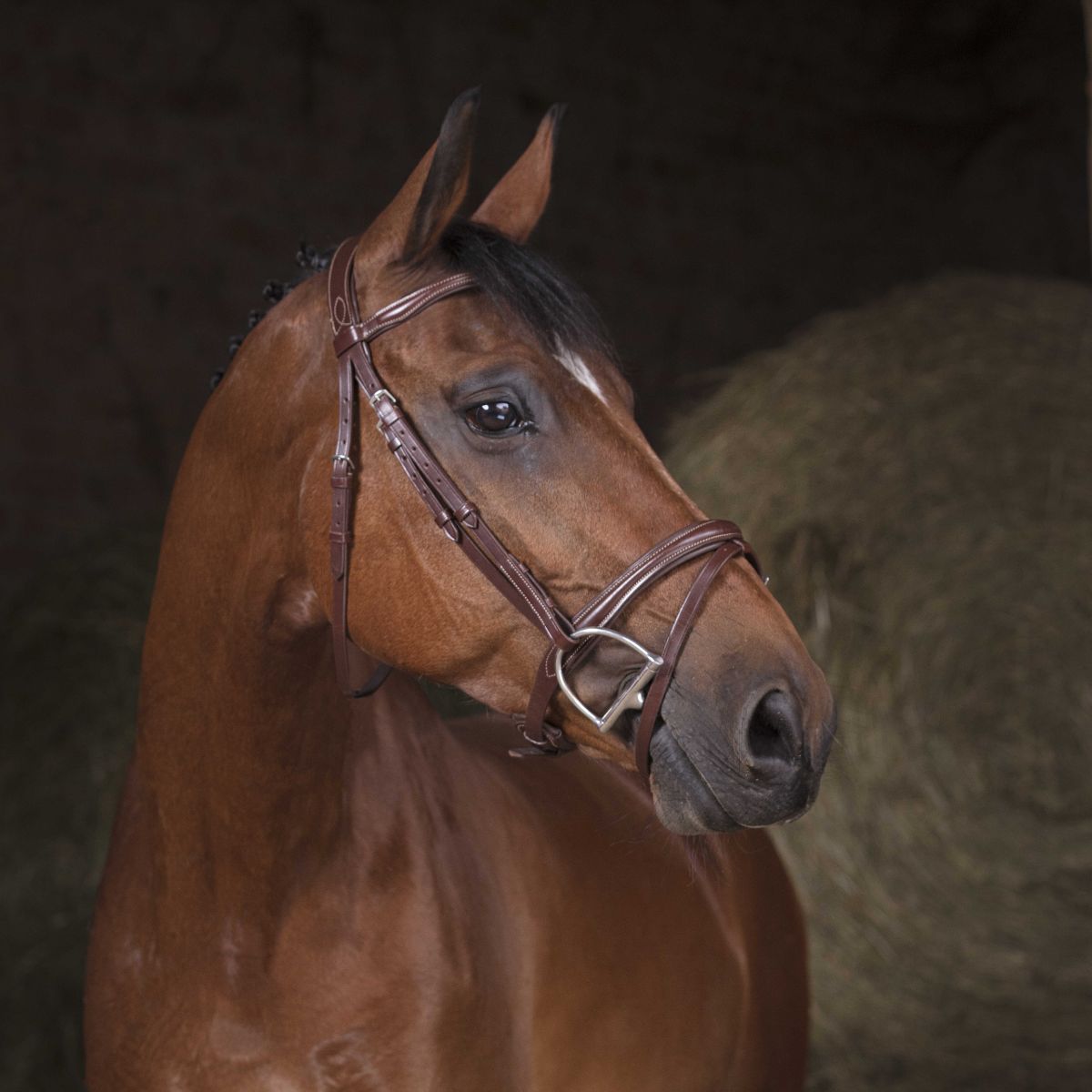 Filet NORTON - Combinée