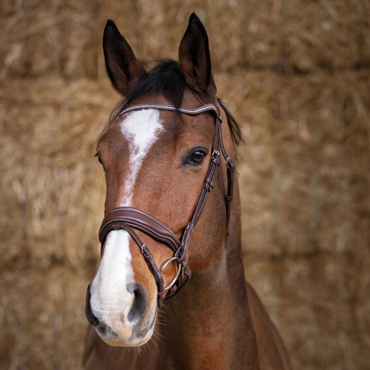 Filet NORTON PRO - Miss