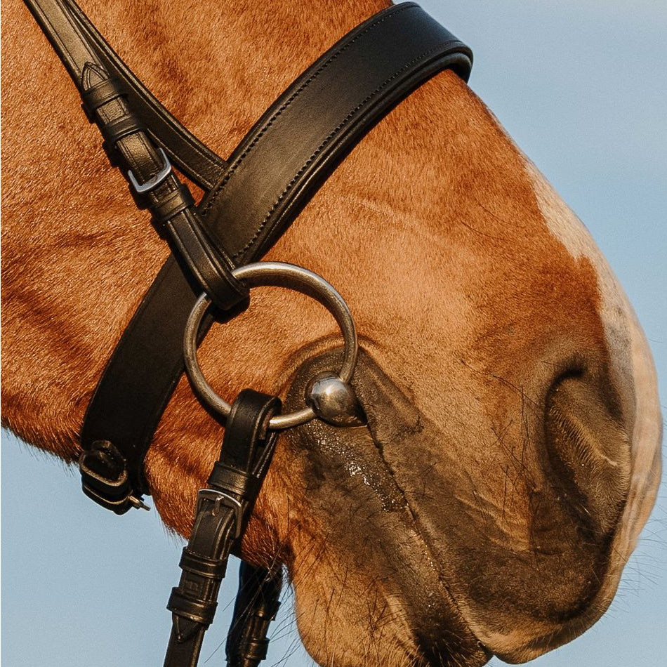 Filet RIDING WORLD - Double muserolle