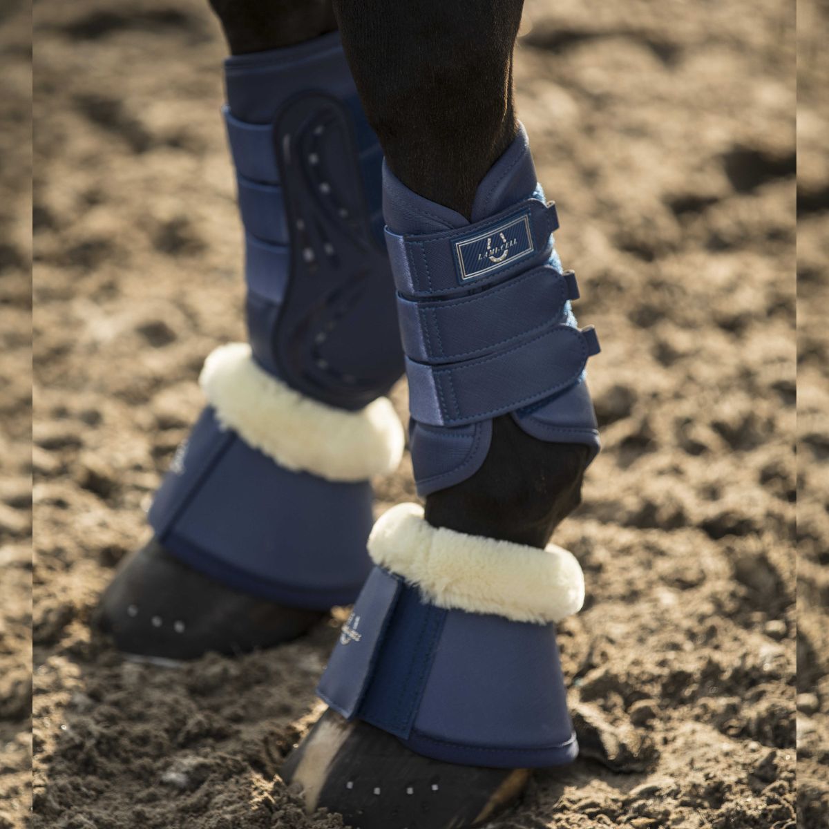 Guêtres dressage LAMI-CELL - LC