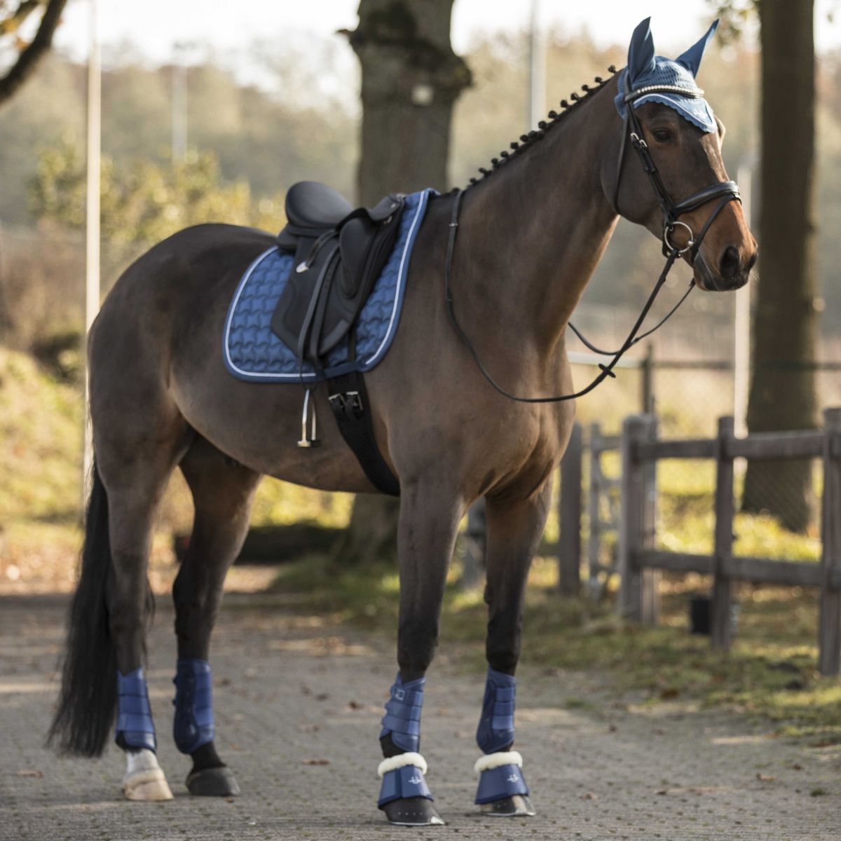 Guêtres dressage LAMI-CELL - LC