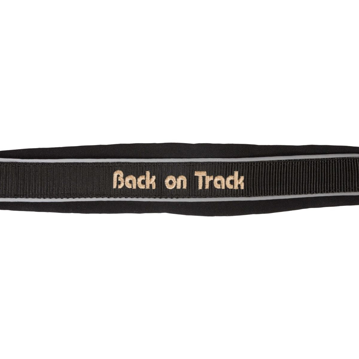 Licol BACK ON TRACK - Réfléchissant