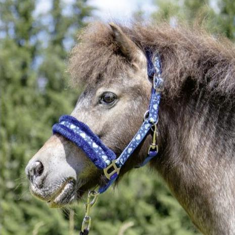 Licol poney HKM - Heart Bleu