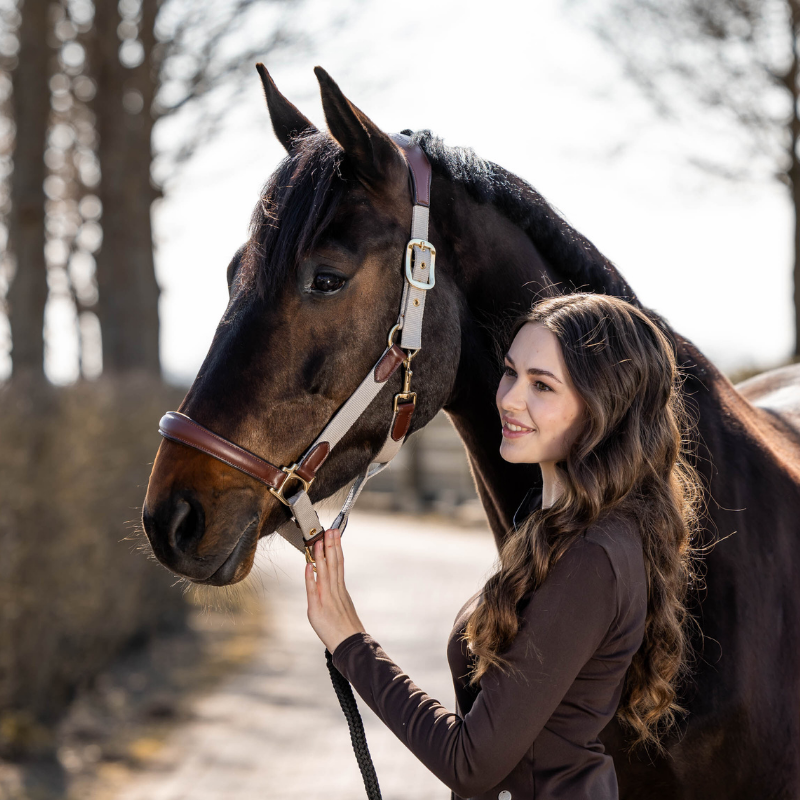 Licol cuir et nylon - Luna