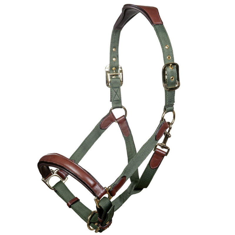 Licol cuir et nylon - Luna