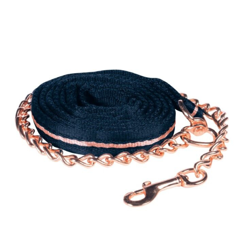 Longe de présentation