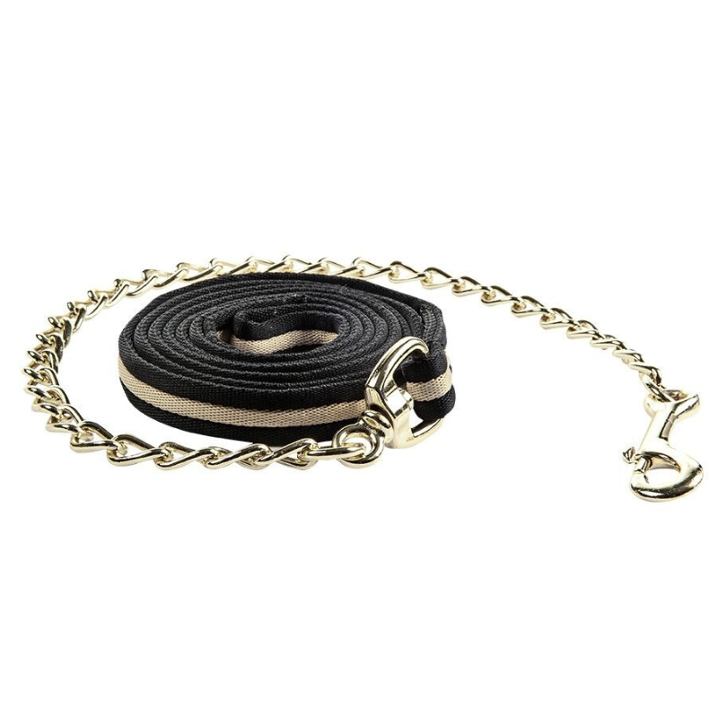 Longe de présentation