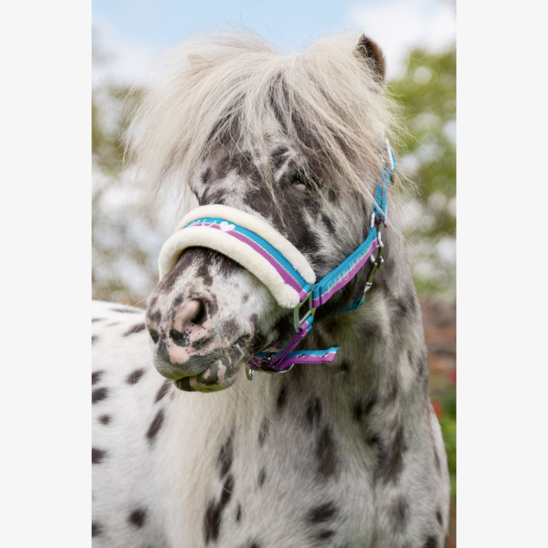 Licol poney HKM Funny Horses