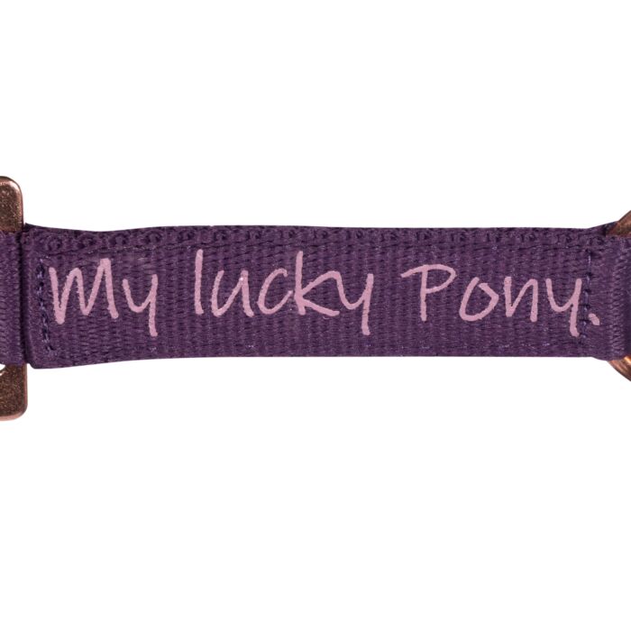 Licol poney - Alva
