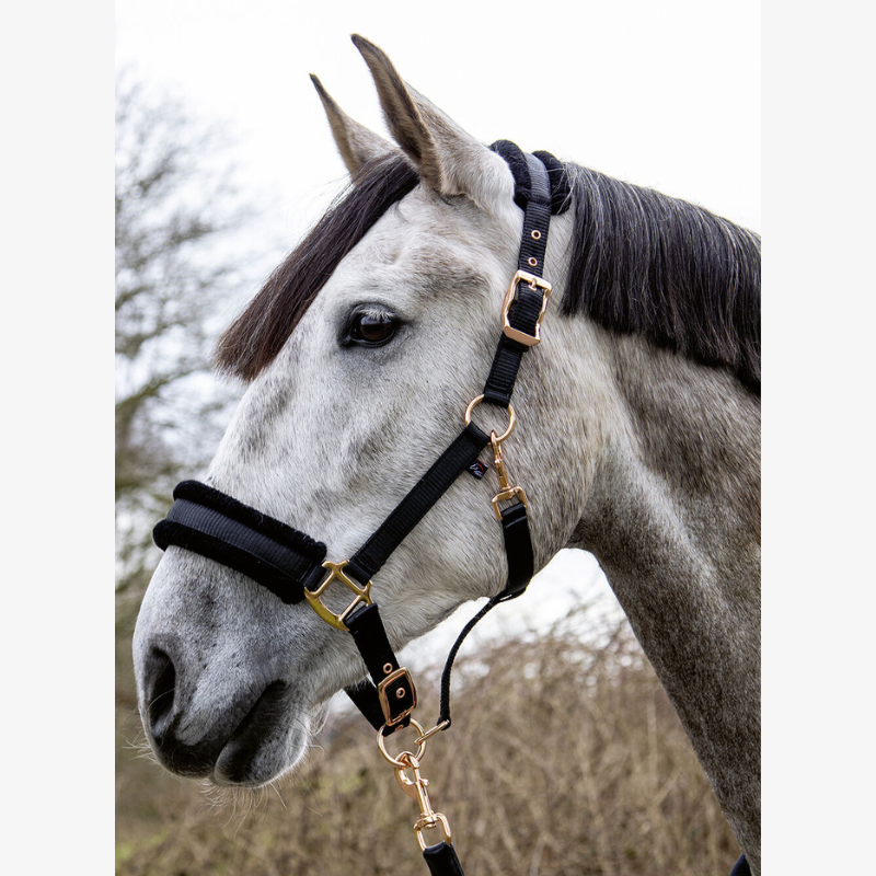 Licol HKM Rosegold Glamour