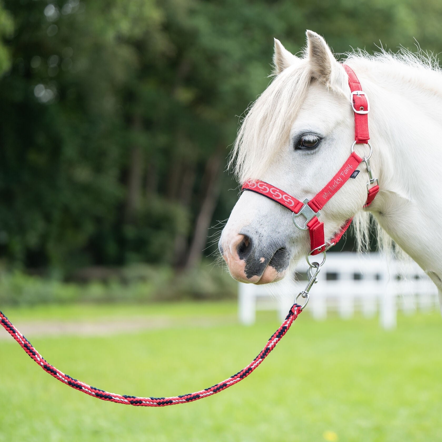Longe poney - Aymee