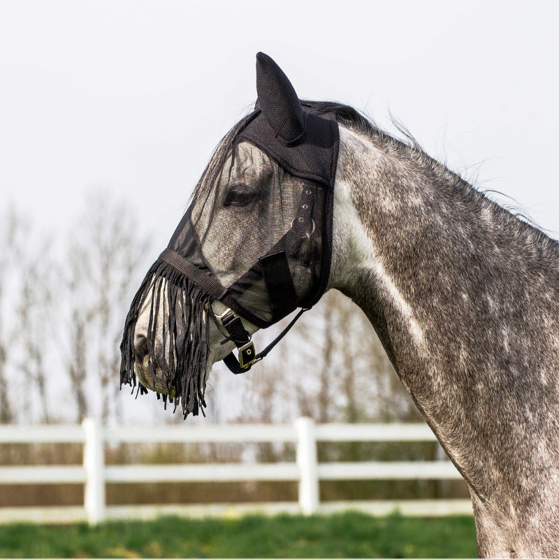 Masque anti-mouches RIDING WORLD