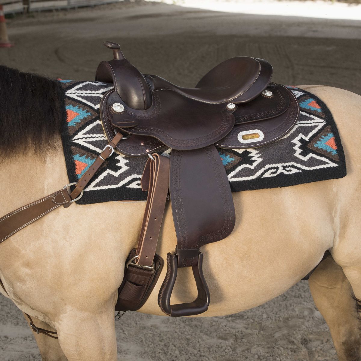 Selle Westride by Franck Perret - Arvada