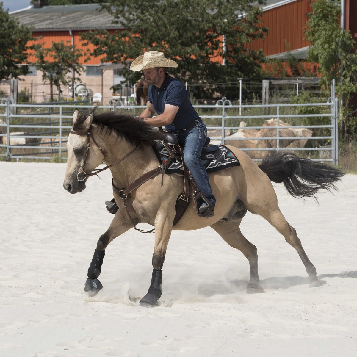 Selle Westride by Franck Perret - Arvada